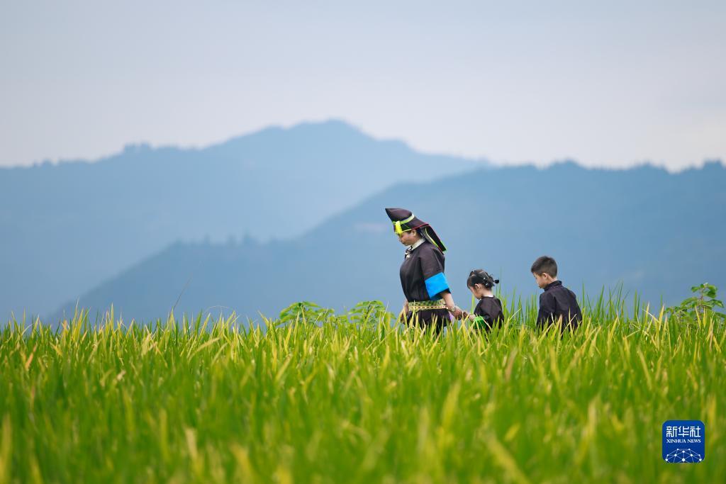云鼎国际平台